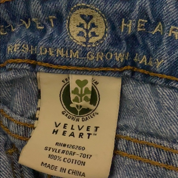 Velvet Heart Shorts - Picture 3 of 3